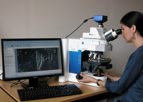 Researcher working on a light microscope, photo by RG Diatomeen, Bo Berlin